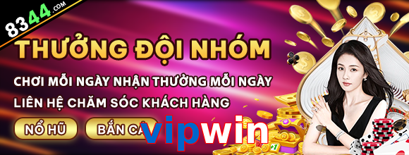 vipwin