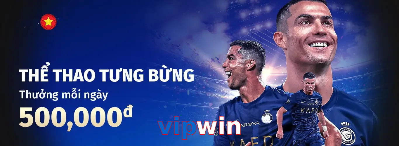 vipwin