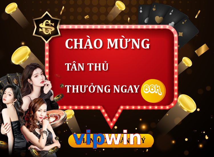 vipwin